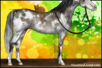 Horse Color:White Spotted Brown Dun Splash Brindle