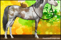 Horse Color:White Spotted Liver Red Dun Brindle 