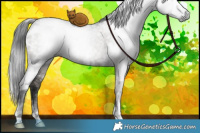 Horse Color:Gray White Spotted Grullo Mushroom Rabicano 