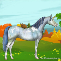 Horse Color:Painted Watercolor White Spotted Brown Pearl Onyx Rabicano Brindle 