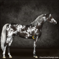 Horse Color:White Spotted Liver Chestnut Ice Mushroom 