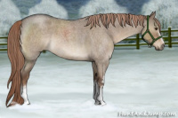 Horse Color:White Spotted Liver Red Dun Roan Rabicano 