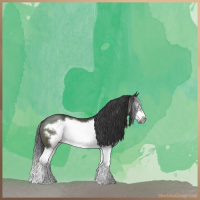 Horse Color:Black Sabino Splash Frame Rabicano 