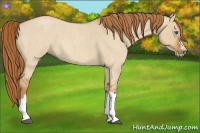 Horse Color:Red Dun Roan Splash Frame Rabicano 