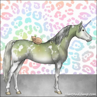 Horse Color:White Spotted Silver Grullo Chinchilla Onyx 