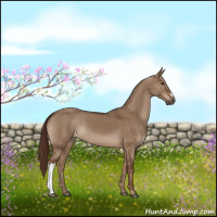 Horse Color:Liver Red Dun Brindle 