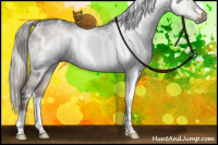 Horse Color:Gray White Spotted Liver Red Dun Mushroom Brindle 