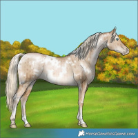 Horse Color:White Spotted Chocolate Palomino Pearl Dun Brindle
