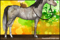 Horse Color:White Spotted Liver Red Dun Ice Brindle