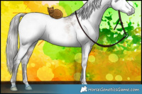 Horse Color:Gray White Spotted Brown Ice Pearl Dun Mushroom Sabino Brindle 