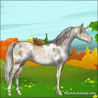 Horse Color:White Spotted Chocolate Palomino Ice Pearl