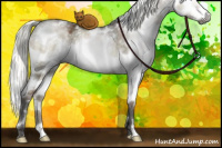 Horse Color:Gray White Spotted Liver Red Dun Ice Mushroom Sabino Splash 