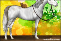 Horse Color:Gray White Spotted Liver Chestnut Ice Pearl Mushroom Splash Tobiano 