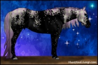 Horse Color:Void Plaid White Spotted Chocolate Palomino Dun Splash Rabicano