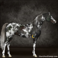 Horse Color:White Spotted Liver Chestnut Ice Mushroom 