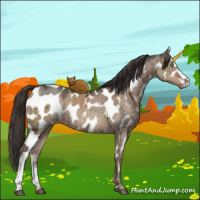 Horse Color:Liver Red Dun Ice Appaloosa Brindle