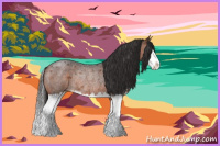 Horse Color:Bay Roan Sabino Splash Rabicano
