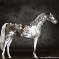 Horse Color:White Spotted Liver Chestnut Ice Mushroom