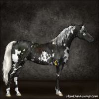 Horse Color:White Spotted Liver Chestnut Ice Mushroom