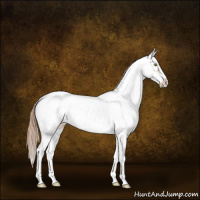 Horse Color:Gold Champagne Dun Sabino Near Leopard 