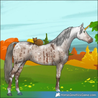 Horse Color:White Spotted Liver Red Dun Mushroom Brindle