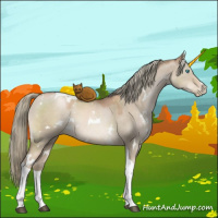Horse Color:White Spotted Liver Red Dun Pearl Mushroom Tobiano 