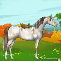 Horse Color:White Spotted Brown Pearl Dun Brindle 