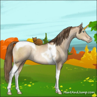 Horse Color:Liver Red Dun Pearl Tobiano Rabicano 