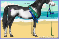 Horse Color:Black Frame 
