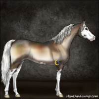 Horse Color:Liver Red Onyx Mushroom Splash 