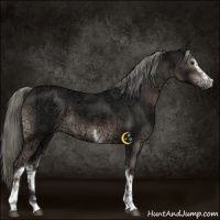 Horse Color:White Spotted Liver Chestnut Ice Mushroom 