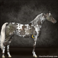 Horse Color:White Spotted Liver Red Dun Ice Mushroom 