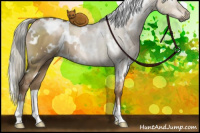 Horse Color:Gray White Spotted Liver Red Dun Pearl Mushroom 