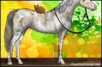 Horse Color:Gray White Spotted Liver Red Dun Ice Pearl Mushroom Tobiano Brindle 