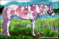Horse Color:Watercolor Plaid  White Spotted Liver Red Onyx Tobiano 