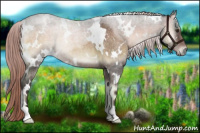 Horse Color:White Spotted Chocolate Palomino Roan Onyx