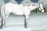 Horse Color:White Spotted Cremello Dun Sabino Splash Rabicano 