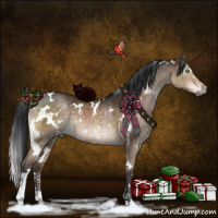 Horse Color:White Spotted Brown Dun Sabino Brindle