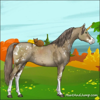 Horse Color:Chocolate Palomino Ice Dun Sabino 