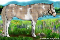 Horse Color:Plaid  White Spotted Liver Red Dun Tobiano 