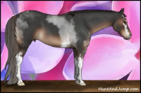 Horse Color:White Spotted Liver Red Roan 