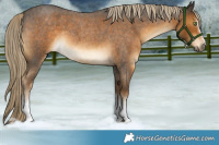 Horse Color:White Spotted Chocolate Palomino Roan 