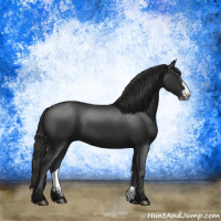 Horse Color:Liver Chestnut Frame 