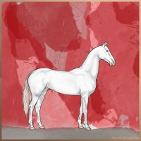 Horse Color:Perlino Dun Sabino Appaloosa Brindle 