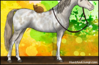 Horse Color:Liver Red Dun Ice Pearl Mushroom Sabino Tobiano Appaloosa Brindle 
