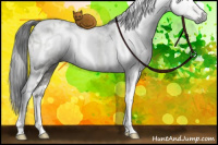 Horse Color:Gray White Spotted Grullo Tobiano Brindle