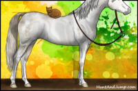 Horse Color:Gray Liver Red Dun Ice Pearl Mushroom Sabino Tobiano Brindle 