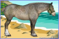 Horse Color:Chocolate Palomino Sabino Rabicano 