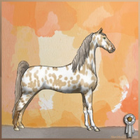 Horse Color:Chocolate Palomino Dun Appaloosa 
