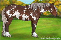 Horse Color:White Spotted Silver Brown